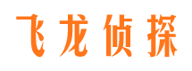 解放私家侦探